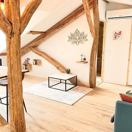 Apartmán Victor Hugo - Calme Auch Exteriér fotografie